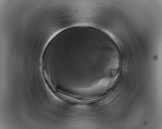 X0000098011468200804181122