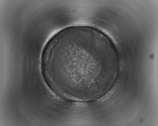 X0000098011469200804181122