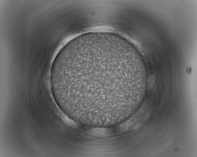 X0000098011470200804181122