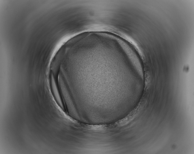 X0000098011472200804181122