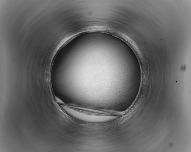 X0000098011473200804181122