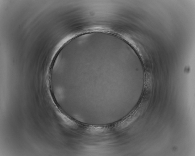 X0000098011474200804181122