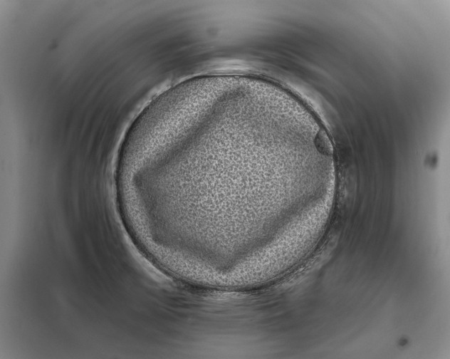 X0000098011475200804181122