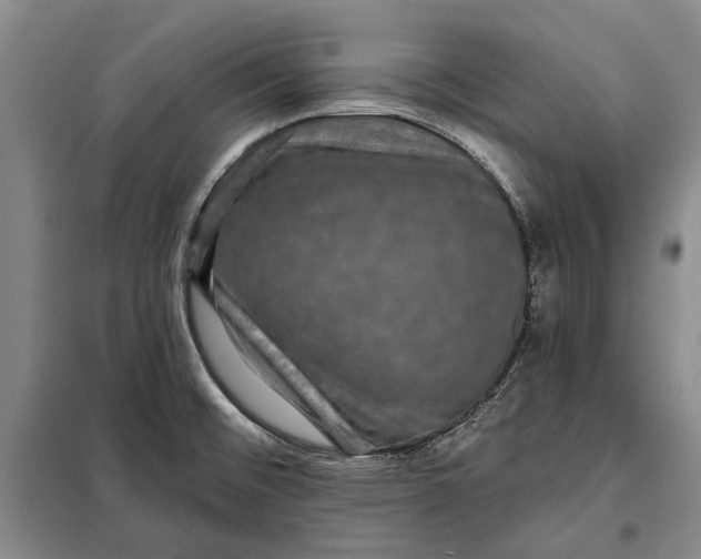 X0000098011476200804181122