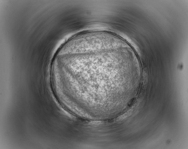 X0000098011477200804181122