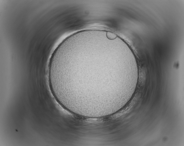 X0000098011478200804181122