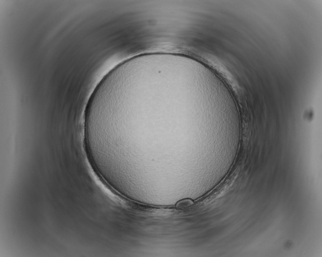 X0000098011479200804181122