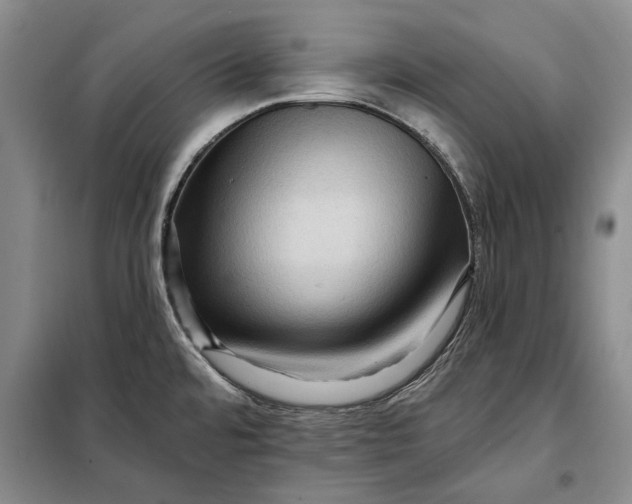 X0000098011480200804181122