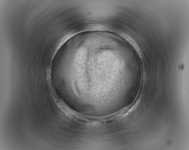 X0000098011481200804181122