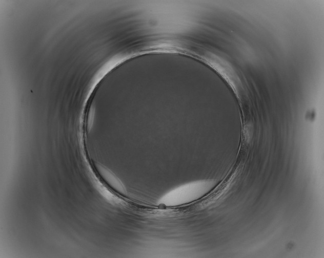 X0000098011482200804181122