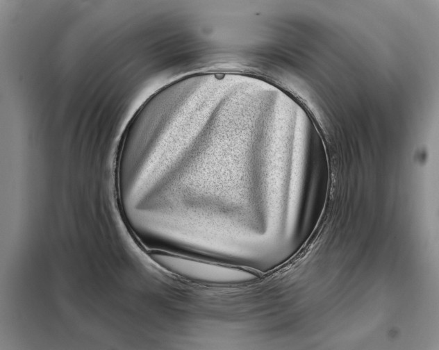 X0000098011483200804181122