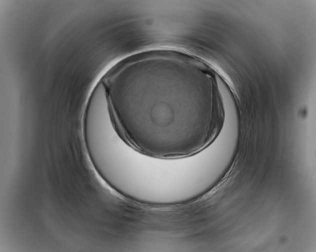 X0000098011484200804181122