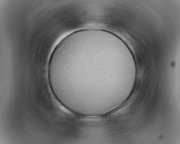 X0000098011486200804181122