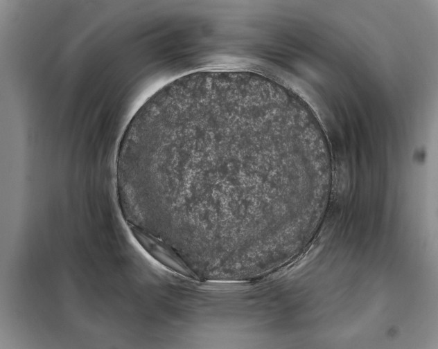 X0000098011487200804181122