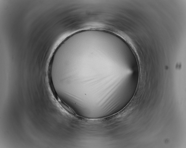 X0000098011488200804181122