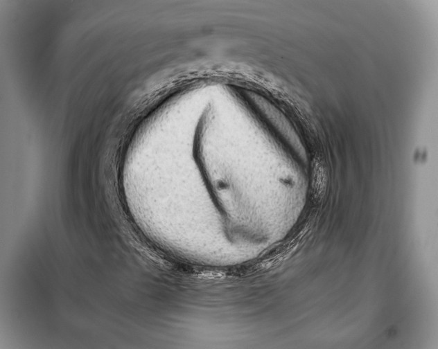 X0000098011489200804181121