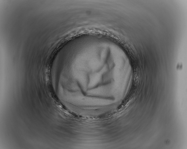 X0000098011490200804181121