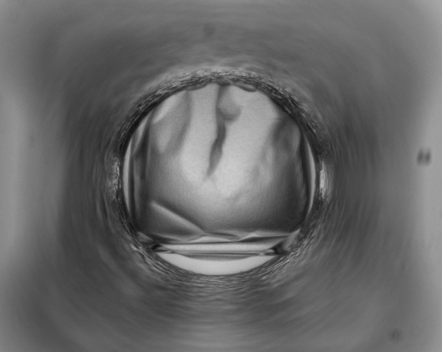 X0000098011492200804181121