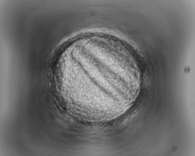 X0000098011494200804181121