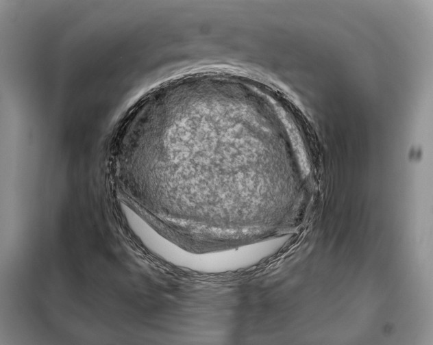 X0000098011496200804181121