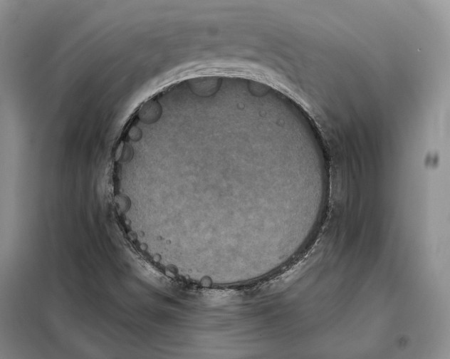 X0000098011498200804181121