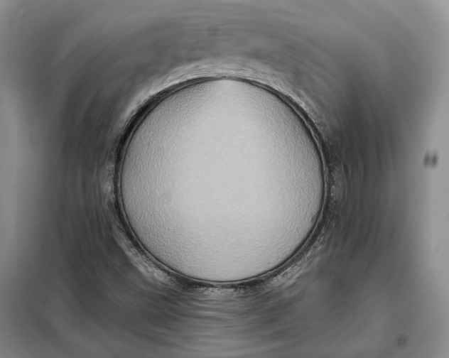 X0000098011499200804181121