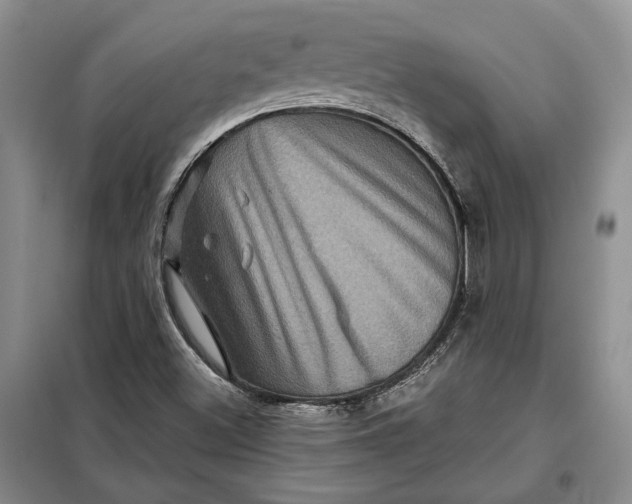 X0000098011500200804181121