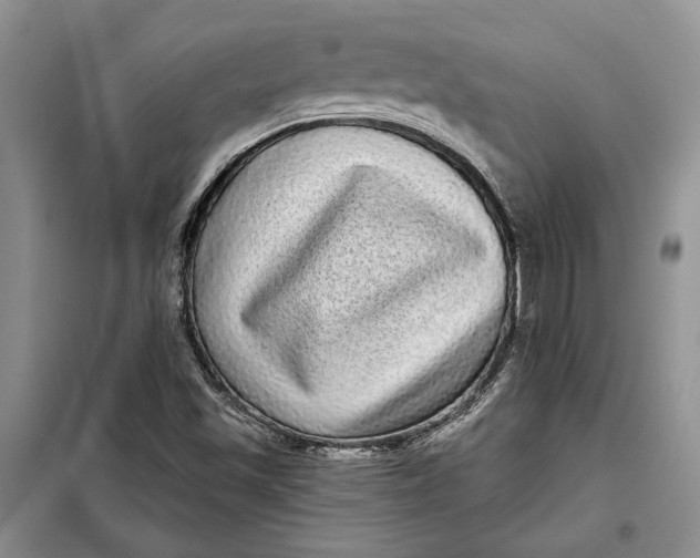 X0000098011501200804181121