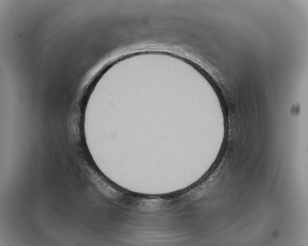 X0000098011502200804181121