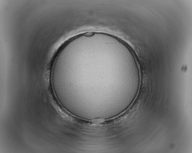 X0000098011503200804181121