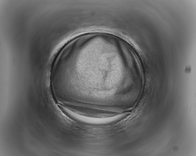 X0000098011504200804181121