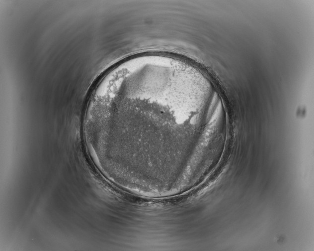 X0000098011505200804181121