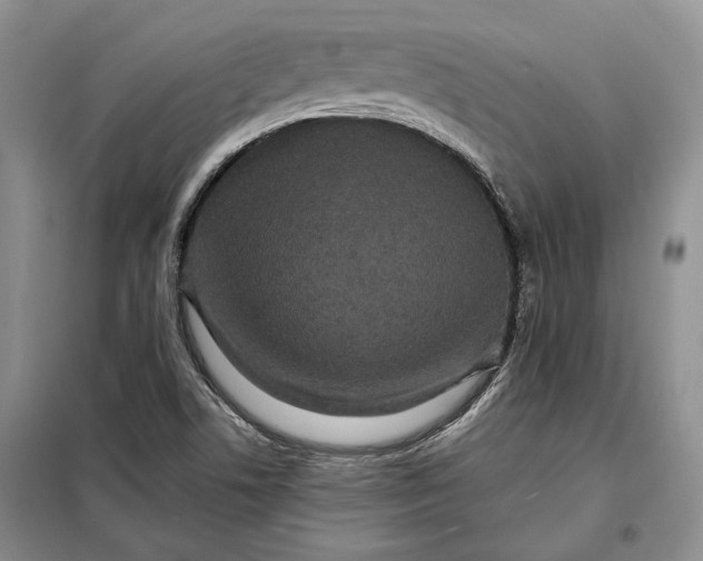 X0000098011506200804181121