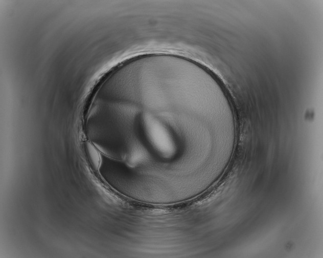 X0000098011507200804181121