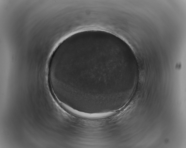 X0000098011508200804181121