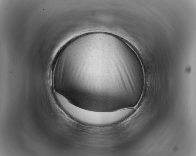 X0000098011510200804181121