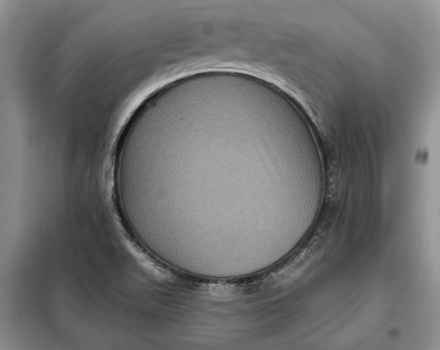 X0000098011511200804181121