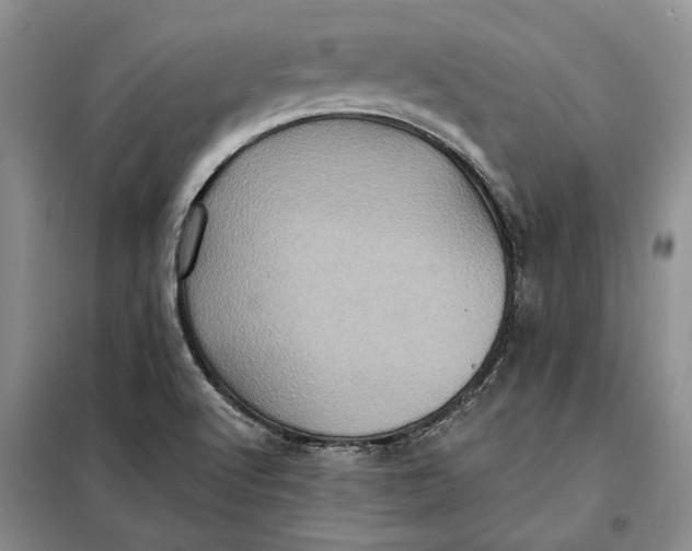 X0000098011512200804181121