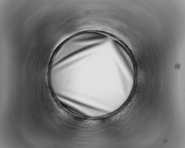 X0000098011513200804181121