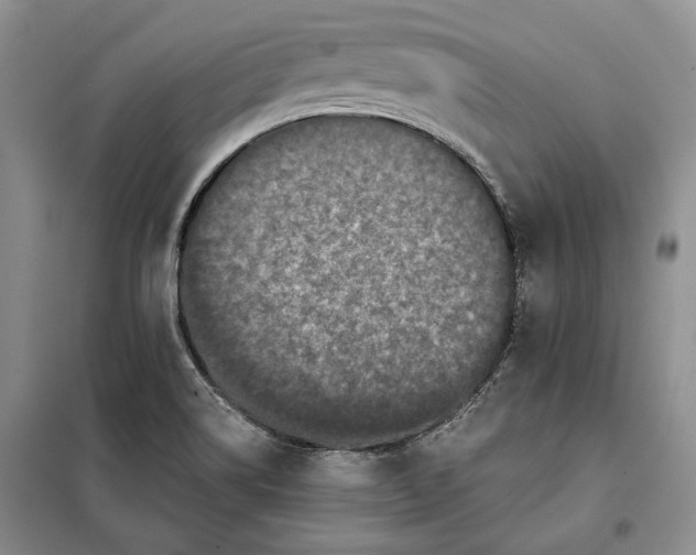 X0000098011514200804181121