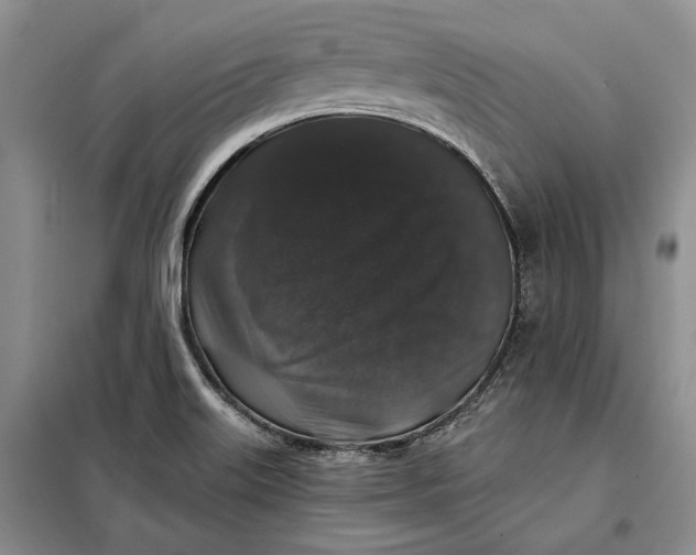 X0000098011515200804181121