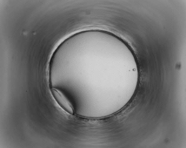 X0000098011516200804181121