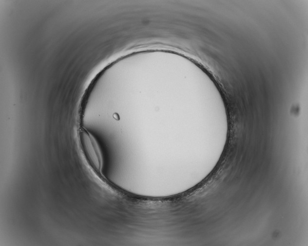 X0000098011518200804181121