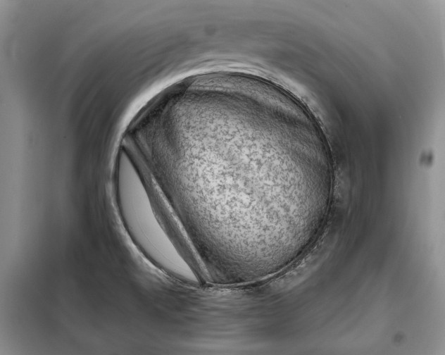 X0000098011520200804181121