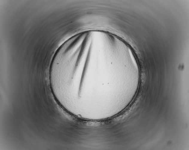 X0000098011521200804181121