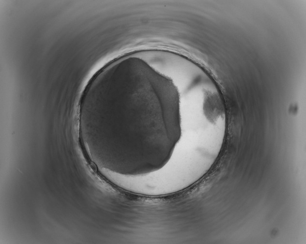 X0000098011522200804181121