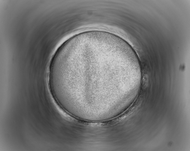 X0000098011523200804181121