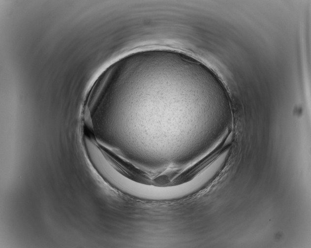 X0000098011524200804181121