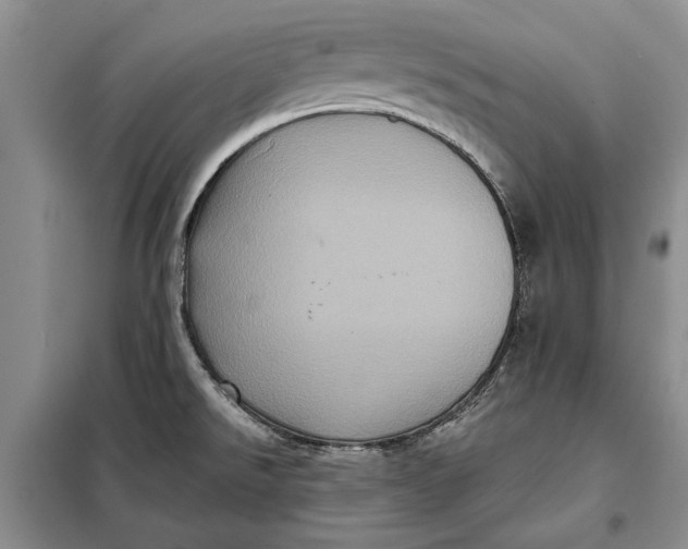 X0000098011526200804181122