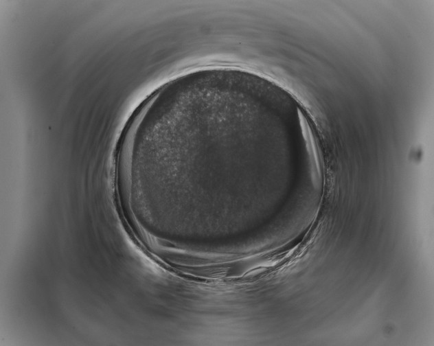 X0000098011527200804181122